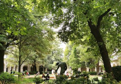 jardin