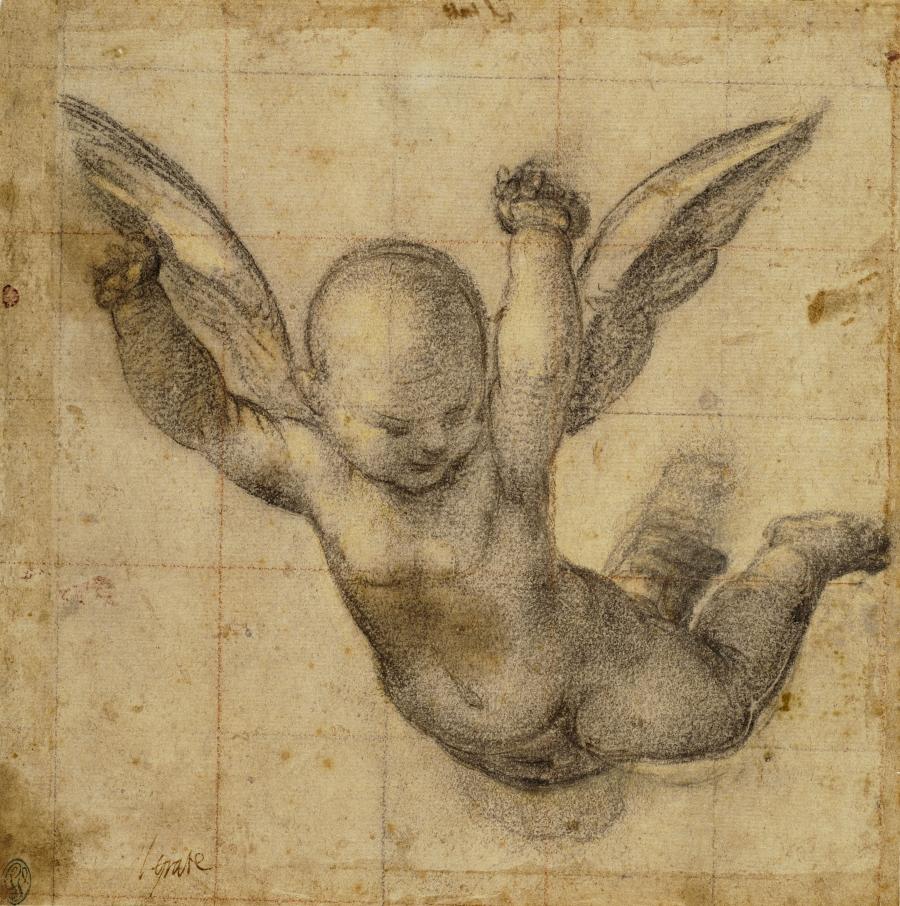 Fra Bartolommeo, Étude d'un angelot volant (recto). XVIe siècle.