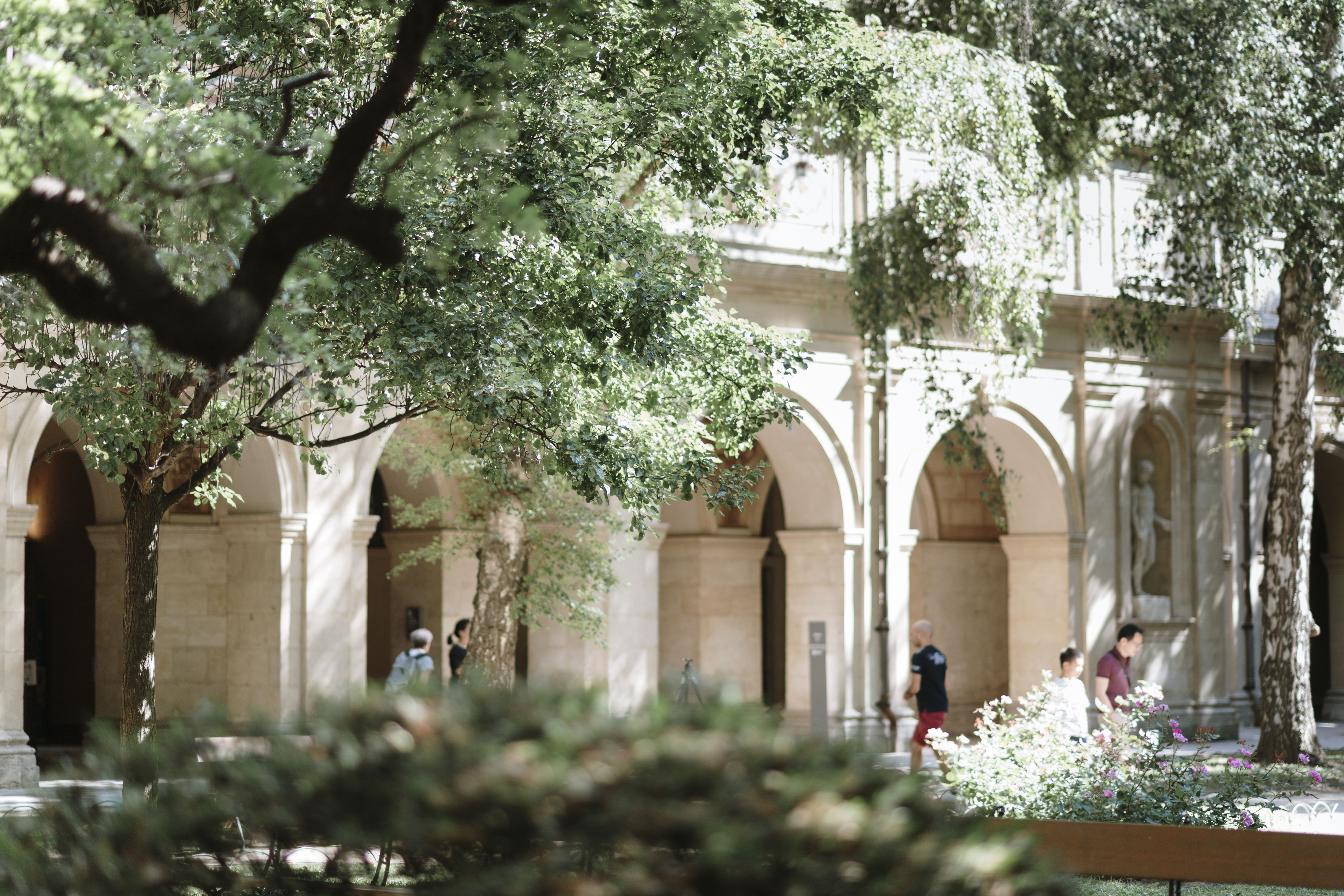 Le jardin du musée des Beaux-Arts de Lyon