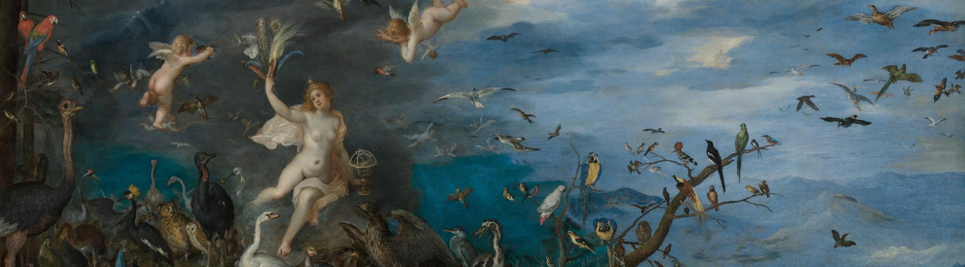 Decouvrir Les Collections Musee Des Beaux Arts