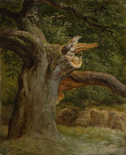 André Giroux, L'Arbre foudroyé, vers 1826-1829.