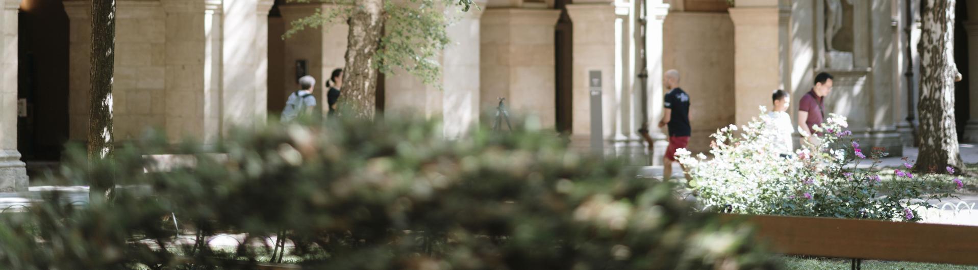 Le jardin du musée des Beaux-Arts de Lyon