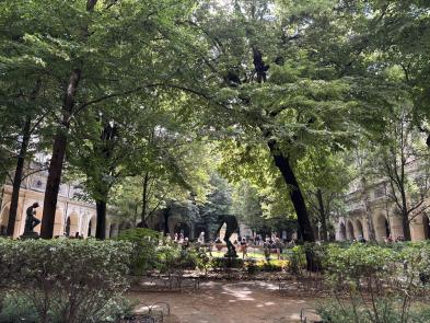 jardin
