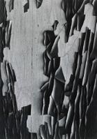 A. Siskind, Jerome, Arizona 20