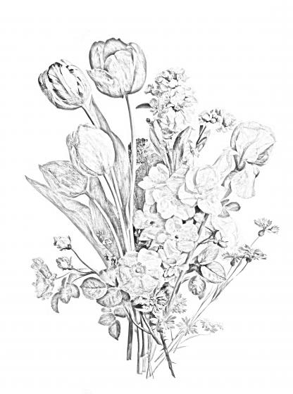 fleurs dessin