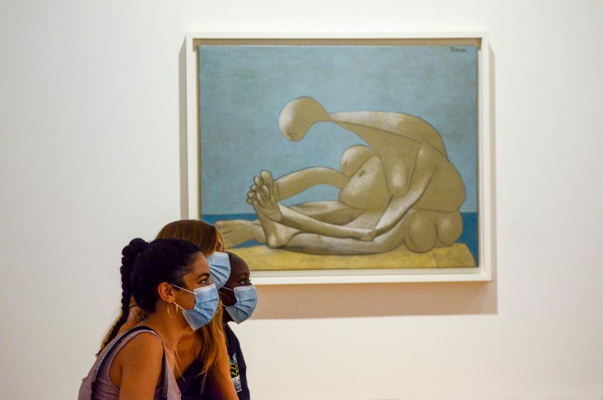 expo_picassso_visiteurs-individuels-3.jpg