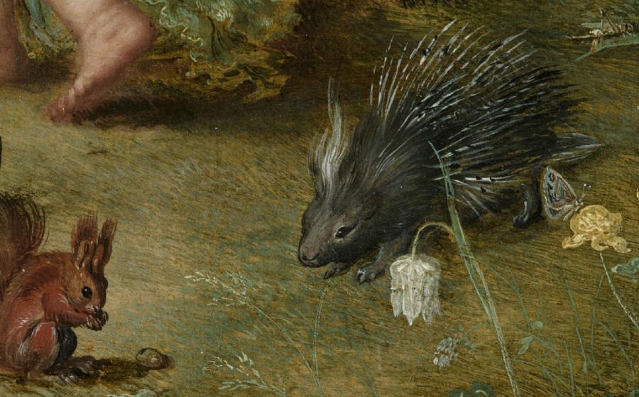 porc_epic_ecureuil_sauterelle_papillon_brueghel.jpg