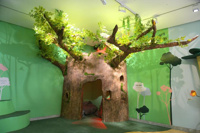 arbre cabane