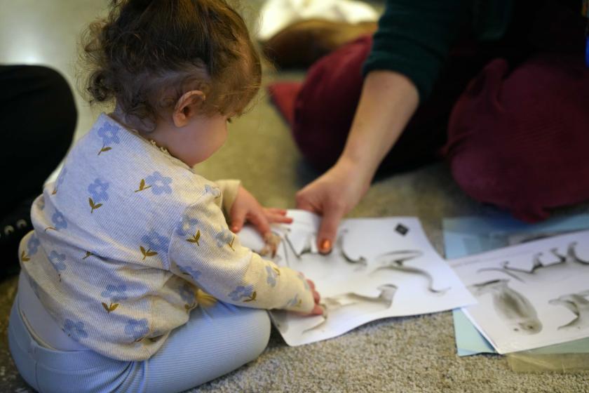 Le grand voyage du lion