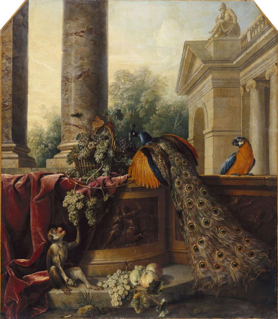 Alexandre-François Desportes, Nature morte au paon, ca 1740.
