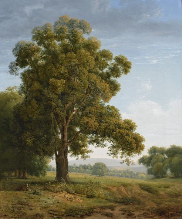 Michel Grobon